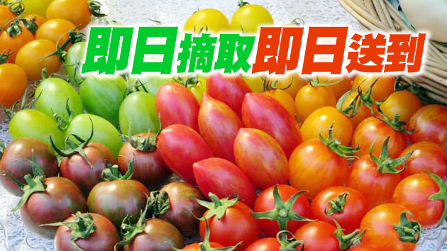 2021年本地漁農美食嘉年華今日起網上舉行