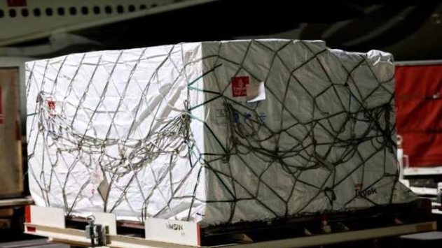 首批中國新冠疫苗抵達約旦 接種計劃將於13日啟動