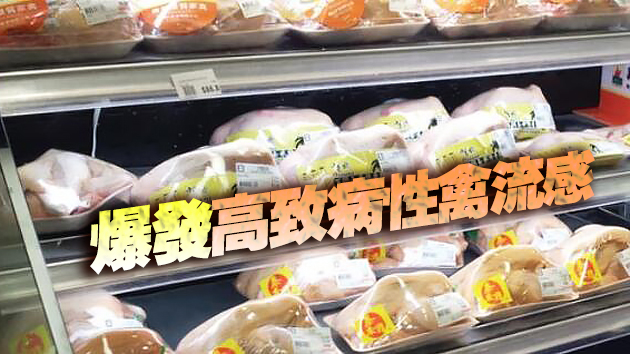 本港暫停進口波蘭及立陶宛部分地區禽肉產品