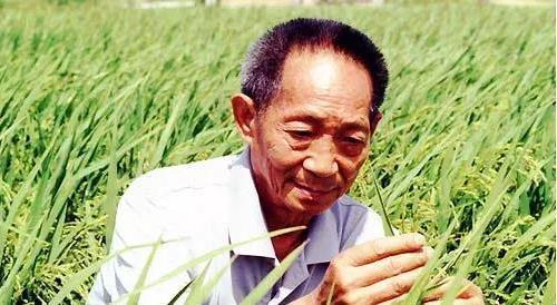 袁隆平入駐抖音本人不知情 抖音回應