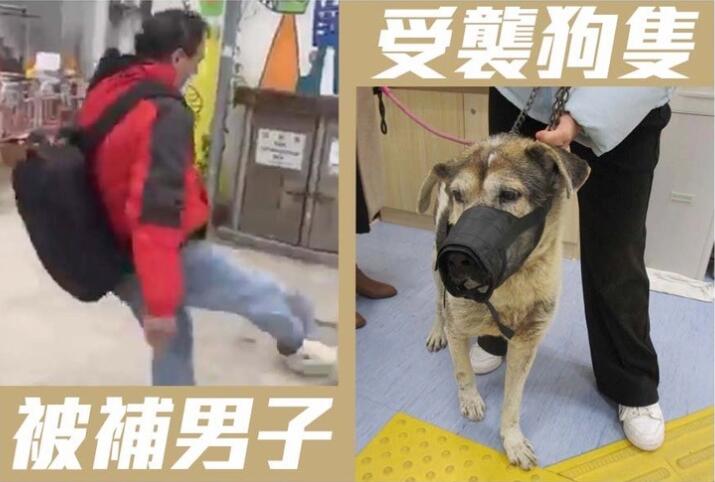 警拘一男 涉鯉魚門三家村腳踢唐狗