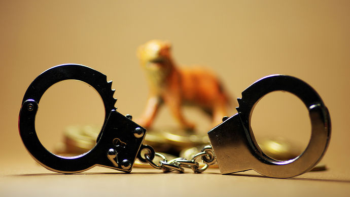 從嚴管黨治黨 開年11天密集發布7名中管幹部處分通報