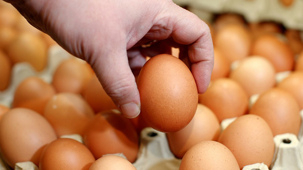 本港暫停進口法國、英國、德國和韓國部分地區的禽肉及禽類產品