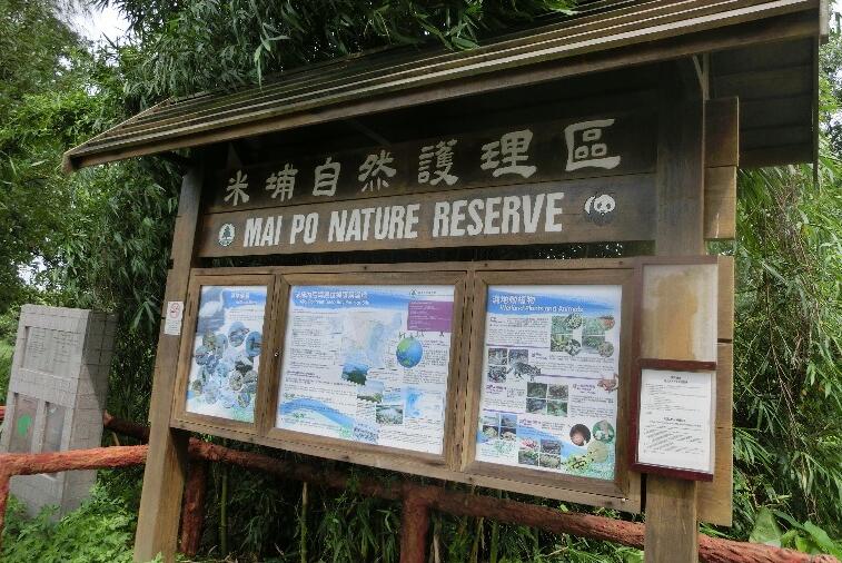 米埔自然護理區2環境樣本驗出H5N8禽流感病毒 3公里內無雞場