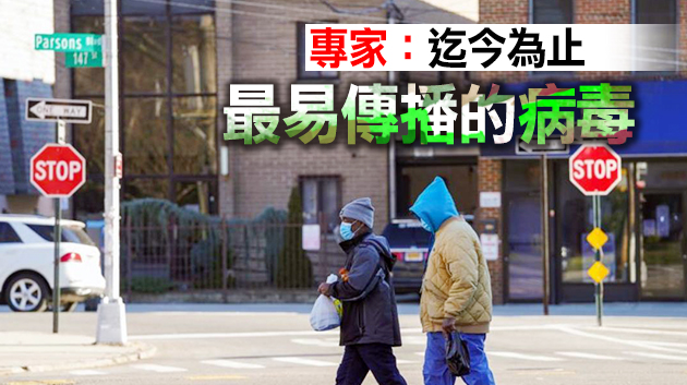 美國發現第三種本土新冠變異毒株