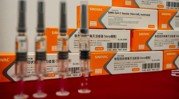 又黑大陸疫苗 綠營淪為「謠言製造機」