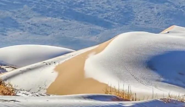 撒哈拉沙漠降雪！阿爾及利亞小鎮罕見下雪