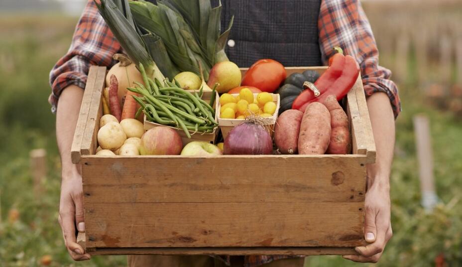 印度研究：素食者和O型血人感染新冠機率較低