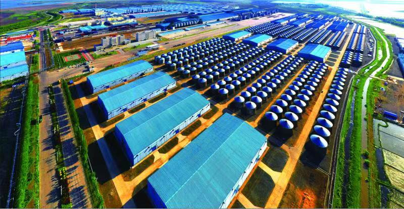  「十三五」高質量答卷 黑龍江綠色食品奮楫逐浪 擦亮金字招牌