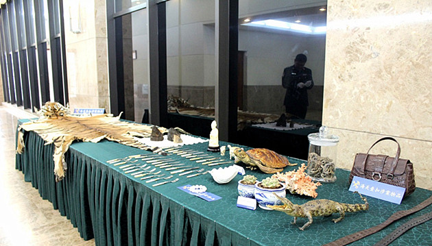 去年全國海關共立案偵辦走私犯罪案件4061起