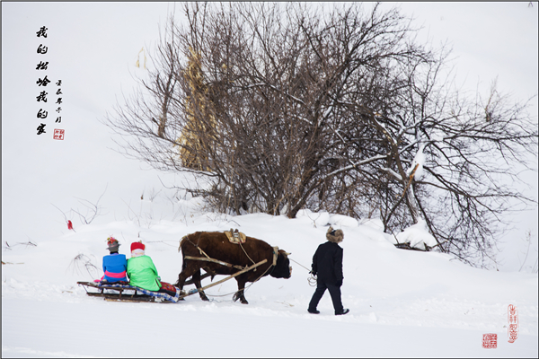打卡冰雪網紅地最美休閒鄉村松嶺雪村