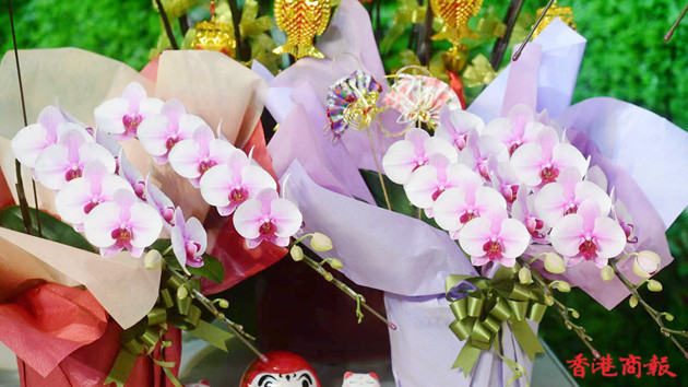 圖片新聞｜東港城明日起舉行新春花市限定店展览