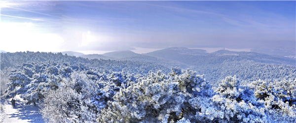 玉樹斗春妍，清輝映夜闌——「趣」玩吉林冰雪1