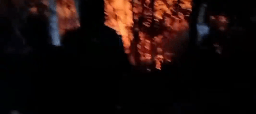 有片 | 深圳大南山突發山火 明火已初步得到控制
