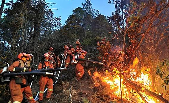 2020年全國消防救援隊接報火災25.2萬起 死亡1183人