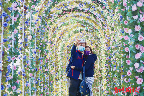 圖集 | 元朗信芯園農場開放花田讓市民賞花