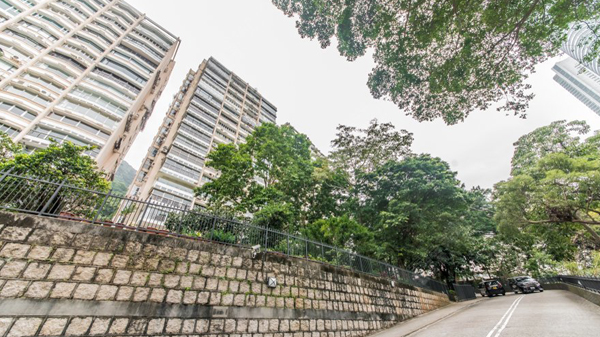 貿發局9600萬沽沽東半山怡園 54年升值639倍