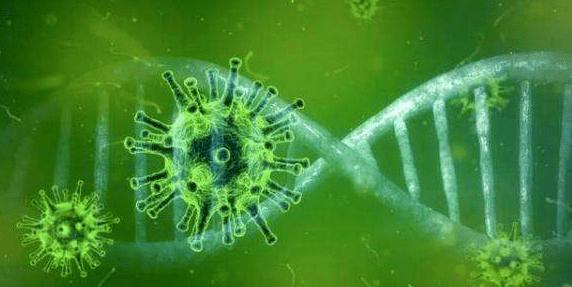 美國出現首例B.1.1.7變種新冠病毒感染者死亡案例