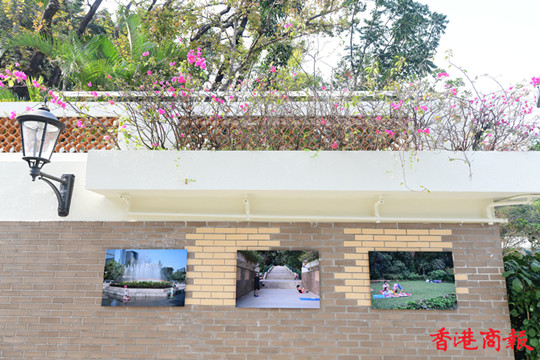 圖集 | 香港植物园内展出《邂逅！市中森》 為沉鬱的疫情期一掃悶氣
