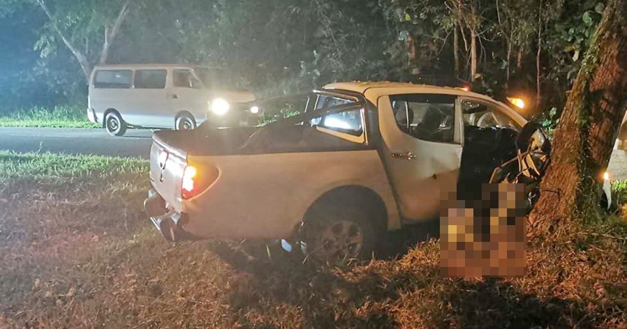 印度東部一皮卡車撞樹翻車致9人死亡