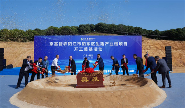 直供大灣區 京基智農陽江生豬項目開工