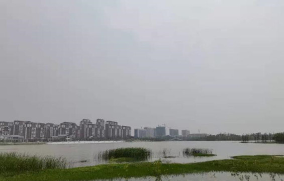 河南濕地保護體系基本形成：濕地保護有法可依