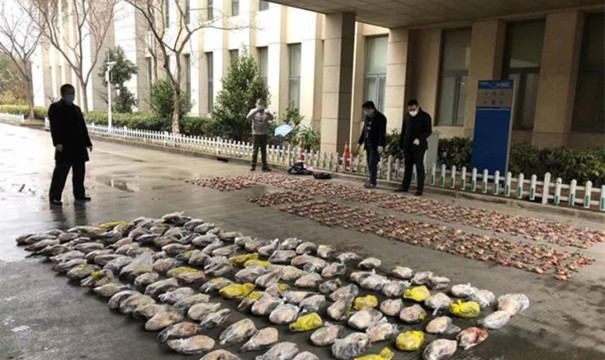上海警方打掉一犯罪團夥 繳獲野生鳥類近800隻