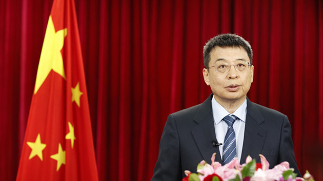 中國國務院僑辦主任潘岳發表新春賀辭：相隔千萬里 只待重逢時