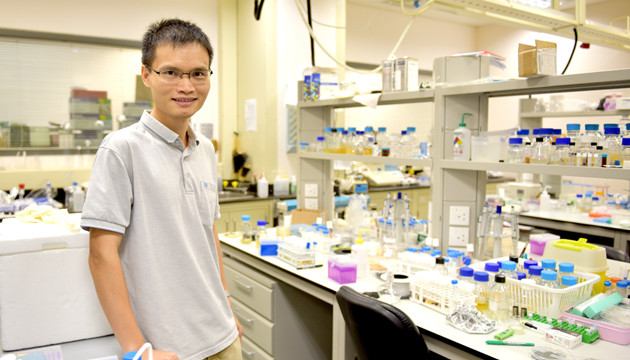 中大物理學者發現活性物質自組織的新路徑