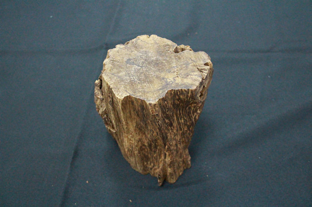 有片 | 廣州海關查獲一起違規寄遞進境沉香木