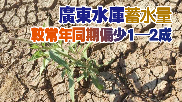 廣東乾燥持續 深圳珠海無降水創紀錄
