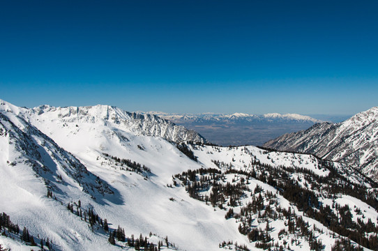 美國鹽湖城附近滑雪場發生雪崩 4人死亡4人獲救