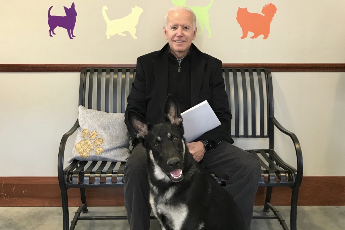 白宮醫生：拜登腳傷已「完全痊癒」