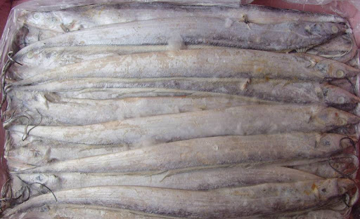 濟南進口巴基斯坦冷凍帶魚1份樣本陽性 未流入市場