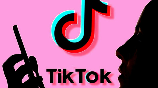 外媒：TikTok拟進軍美國電子商務市場