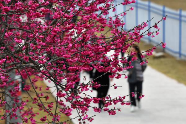 【基金創富】春運對內地消費影響