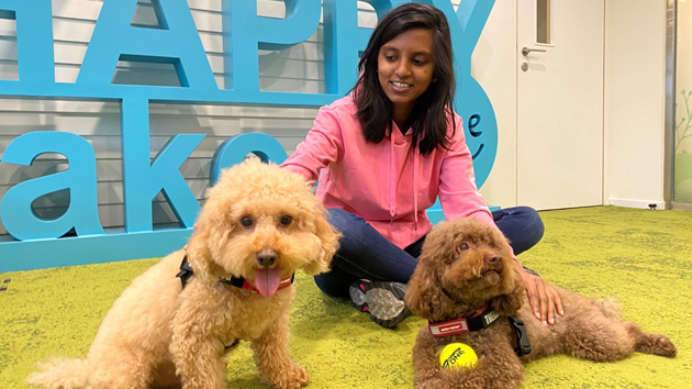 科大引入4隻治療犬 為學生提供「心理治療」