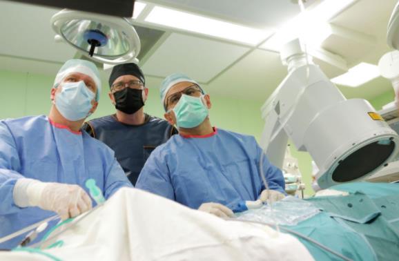 俄羅斯對靈長類動物腦腫瘤做特殊手術 係全球首例