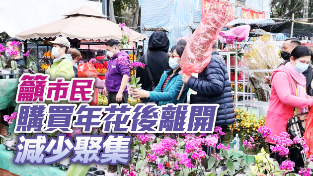 食環署：年花銷售點今日午夜結束營運 籲市民「快買快賣」