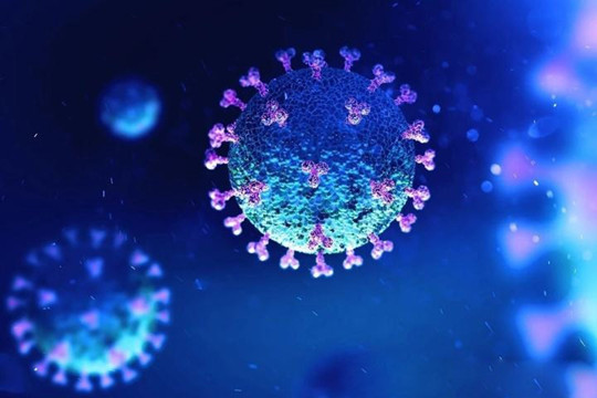 內地新增確診病例12例 均為境外輸入病例