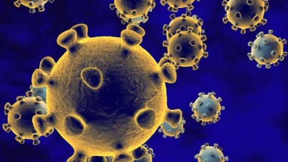 巴西發現的病毒變異株傳染力「強3倍」，疫苗仍有效