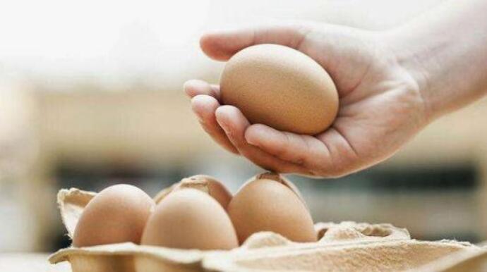 韓禽流感全境蔓延 蛋價持續走高