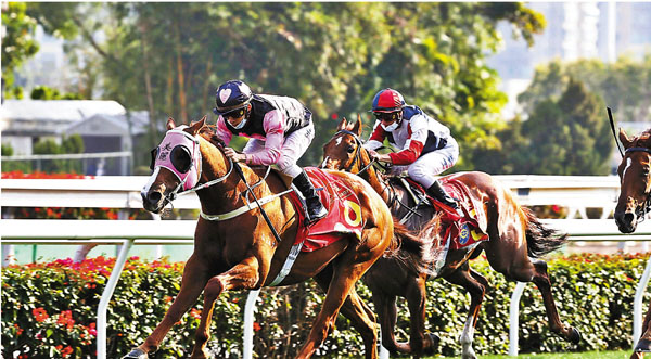 沙田賀歲馬投注額18.43億 創初三賽馬日新高
