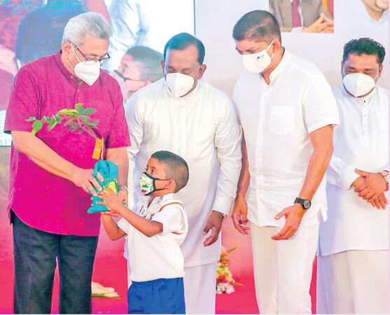 斯里蘭卡啟動兒童植樹全國計劃