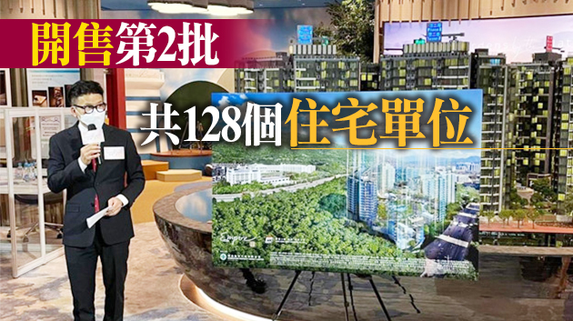 帝御．嵐天今次輪開售 半日沽逾50%推售單位