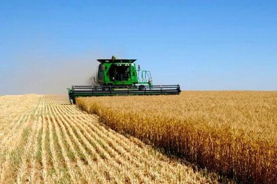 中國糧食產量連續6年保持1.3萬億斤以上