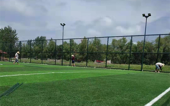 兩部委：2025年社會足球場地全面開放