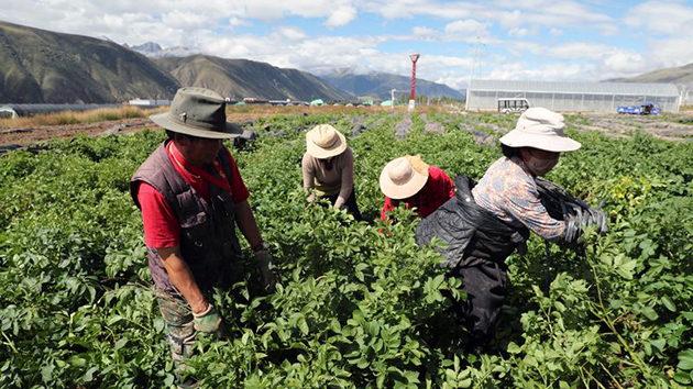 全國脫貧攻堅總結表彰大會25日上午在京舉行
