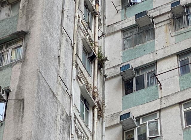 有片 | 黃偉綸：料「樓宇排水系統維修資助計劃」5月開始接受申請