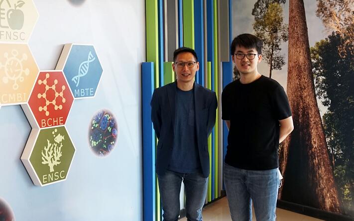 中大團隊研究為神經退行性疾病治療帶來新方向